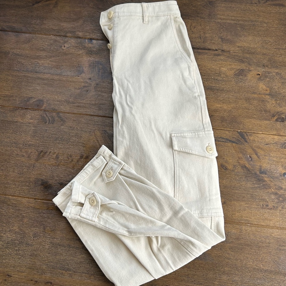 ARITZIA Wilfred Free Modern Cargo Pants Sz 6